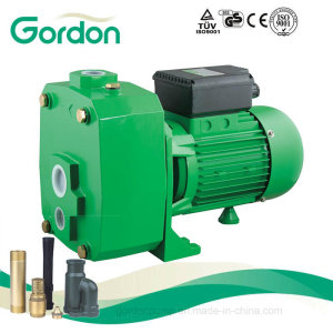 Gardon Self-Priming Jet Deep Well Pump with Pump Impeller