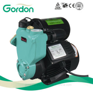 Domestic Electric 100% Copper Wire Self-Priming Auto Pump with Flange