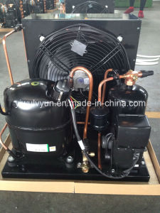 Tecumseh Condensing Unit for Commercial Freezer